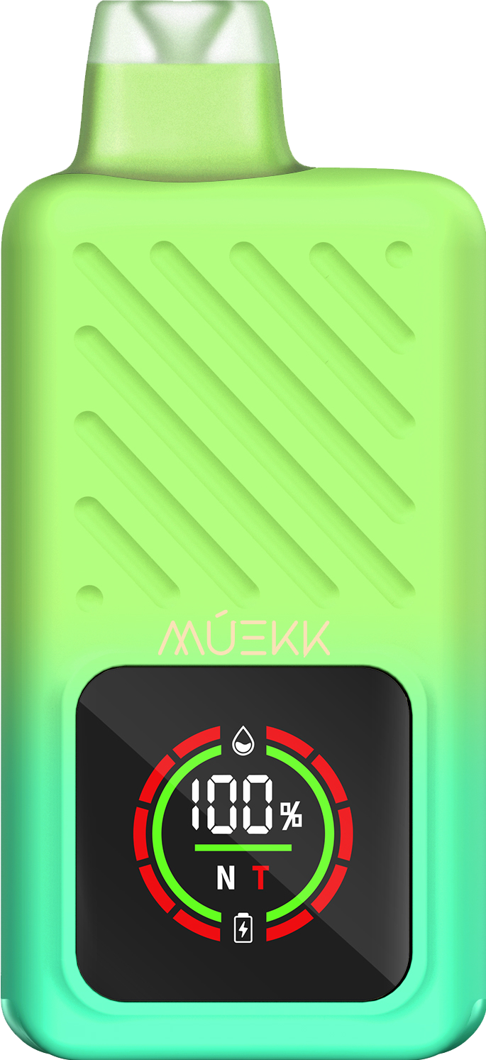 MUEKK - Model X - Spearmint - Disposable