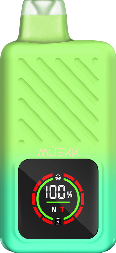 MUEKK - Model X - Spearmint - Disposable